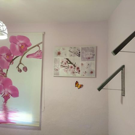 Вилла La Casita De Ana. Puerta Valencia. Casco Antiguo Куэнка Экстерьер фото