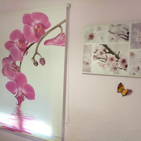 Вилла La Casita De Ana. Puerta Valencia. Casco Antiguo Куэнка Экстерьер фото